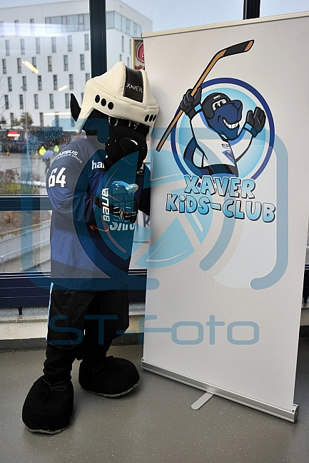 ERC Ingolstadt vs Hamburg Freezers, Eishockey, DEL, Deutsche Eishockey Liga, 10.01.2016