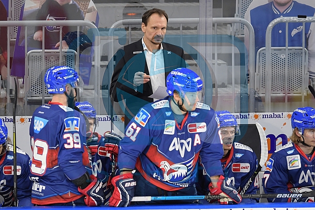 Eishockey, Herren, DEL, Saison 2020-2021, Adler Mannheim - ERC Ingolstadt, 24.01.2021