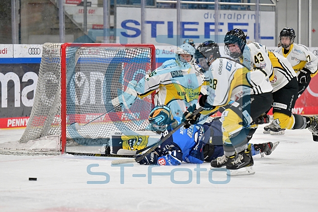 Eishockey, Frauen, DFEL, Saison 2023-2024, ERC Ingolstadt - Mad Dogs Mannheim, 18.02.2024