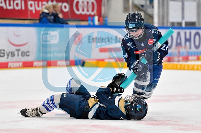 Eishockey, Saison 2025-2026, ERC Ingolstadt - Kids On Ice Day, 10.01.2026