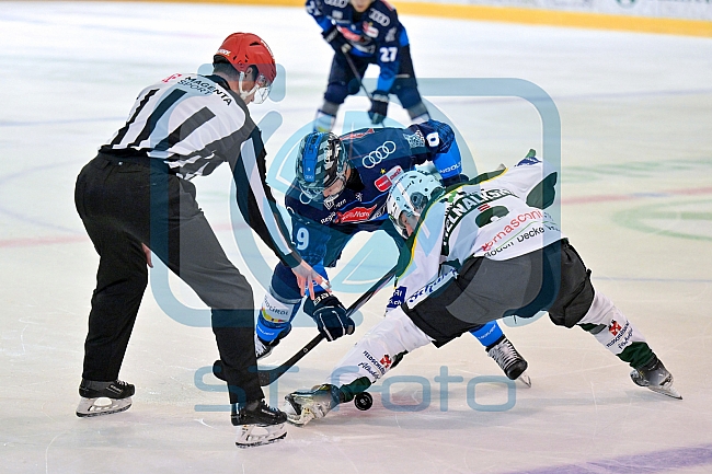 Eishockey, Herren, DEL, Saison 2024-2025, EHC Olten - ERC Ingolstadt, 25.08.2024