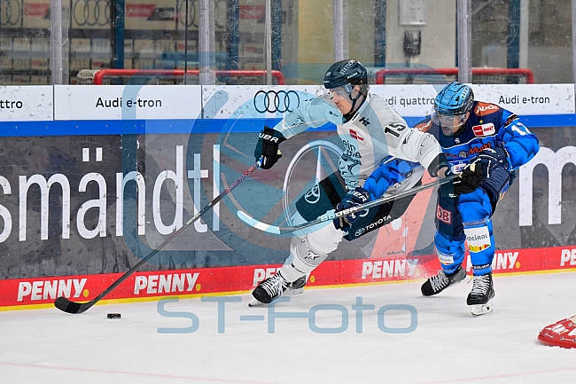 Eishockey, Herren, DEL, Saison 2025-2026, Spiel 16, ERC Ingolstadt - Kölner Haie, 31.10.2025