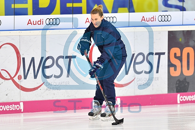 ERC Ingolstadt, Eishockey, DEL, Deutsche Eishockey Liga, 10.11.2017