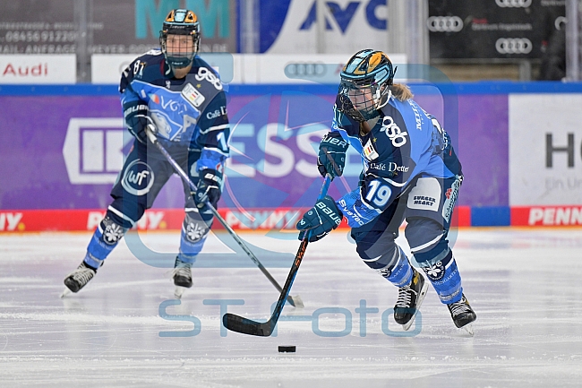 Eishockey, Frauen, DFEL, Saison 2023-2024, ERC Ingolstadt - EC Bergkamener Bären, 28.10.2023