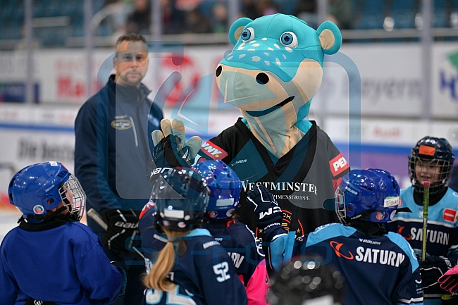 Eishockey, Herren, DEL, Saison 2023-2024, ERC Ingolstadt - Kids on Ice Day, 30.09.2023