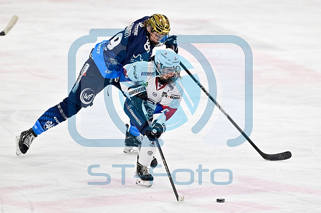 Eishockey, Frauen, DFEL, Saison 2024-2025, ERC Ingolstadt - Eisbären Berlin, 15.02.2025
