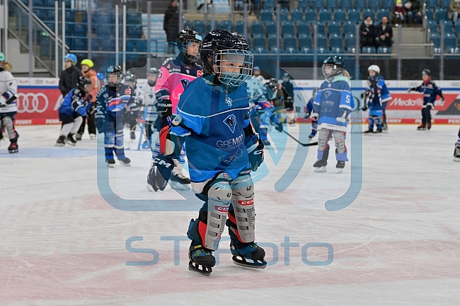 Eishockey, Herren, DEL, Saison 2024-2025, ERC Ingolstadt - Kids On Ice Day, 11.01.2025