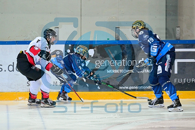 Eishockey, Frauen, DFEL, Saison 2024-2025, ERC Ingolstadt - HK Budapest Roster, 12.01.2025