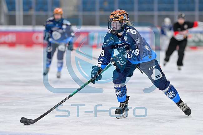 Eishockey, Frauen, DFEL, Saison 2024-2025, ERC Ingolstadt - EC Bergkamener Bären, 04.01.2025