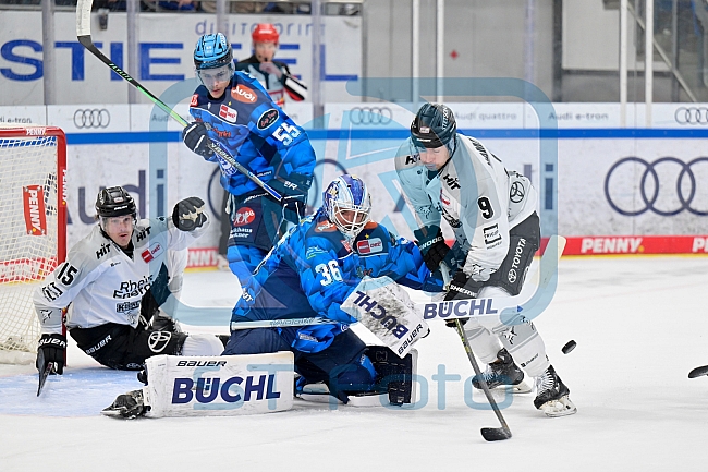 Eishockey, Herren, DEL, Saison 2025-2026, Spiel 16, ERC Ingolstadt - Kölner Haie, 31.10.2025