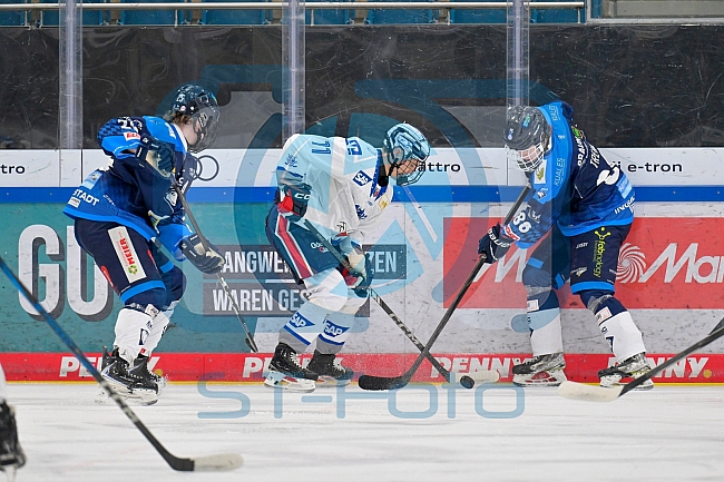 Eishockey, Herren, U20 DNL, Saison 2025-2026, ERC Ingolstadt - Jungadler Mannheim, 24.01.2026