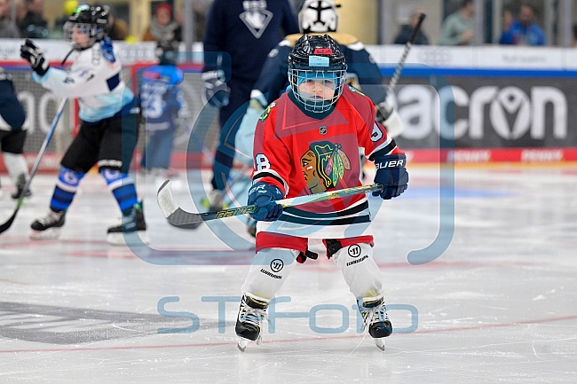 Eishockey, Saison 2025-2026, ERC Ingolstadt - Kids On Ice Day, 10.01.2026