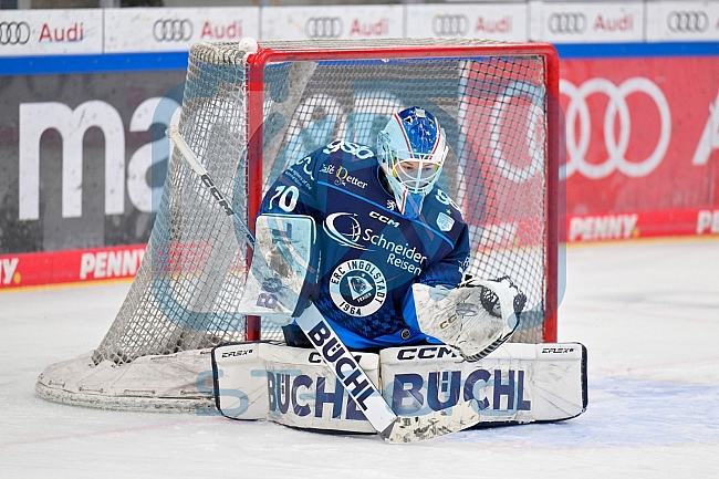 Eishockey, Frauen, DFEL, Saison 2024-2025, ERC Ingolstadt - Mad Dogs Mannheim, 23.11.2024