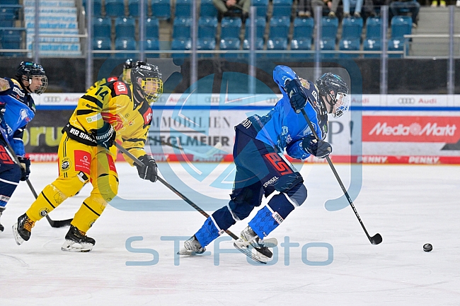 Eishockey, U20, DNL, Saison 2024-2025, ERC Ingolstadt - Krefelder EV 81, 01.03.2025