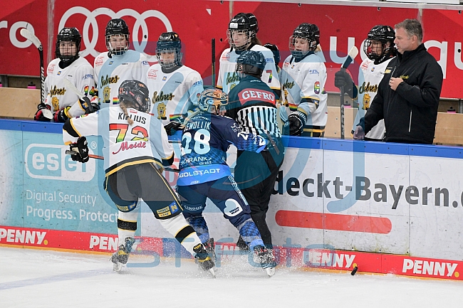 Eishockey, Frauen, DFEL, Vorbereitung, Saison 202-2025, ERC Ingolstadt - St. Pölten, 07.09.2024