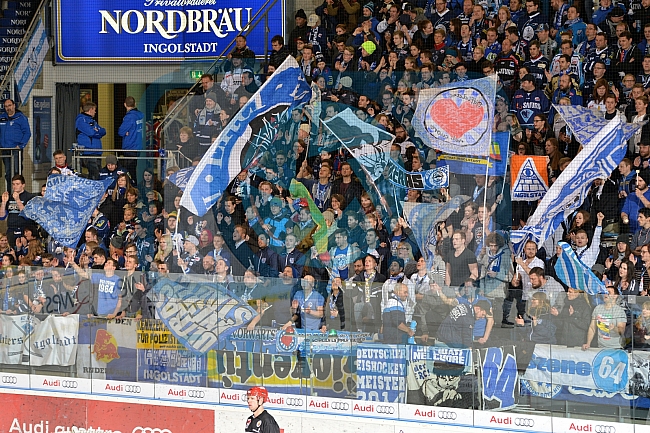 ERC Ingolstadt vs Schwenninger Wild Wings, Eishockey, DEL, Deutsche Eishockey Liga, 22.01.2016