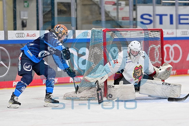 Eishockey, Frauen, DFEL, Saison 2024-2025, ERC Ingolstadt - EC Bergkamener Bären, 04.01.2025