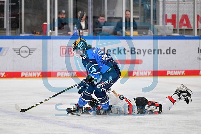 Eishockey, Frauen, DFEL, Saison 2023-2024, ERC Ingolstadt - ECDC Memmingen Indians, 07.10.2023