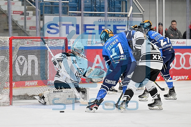 Eishockey, Frauen, DFEL, Saison 2023-2024, ERC Ingolstadt - Amsterdam Tigers, 06.01.2024