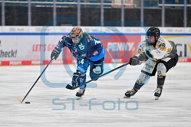 Eishockey, Frauen, DFEL, Saison 2024-2025, ERC Ingolstadt - Mad Dogs Mannheim, 23.11.2024