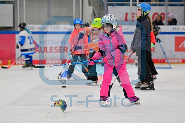 Eishockey, Herren, DEL, Saison 2024-2025, ERC Ingolstadt - Kids On Ice Day, 11.01.2025