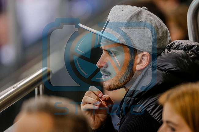 ERC Ingolstadt - Adler Mannheim, Eishockey, DEL, Deutsche Eishockey Liga, Spieltag 11, 18.10.2016