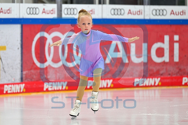 Eishockey, Herren, DEL, Saison 2022-2023, ERC Ingolstadt - Showtraining & Dauerkartenüberge, 07.08.2022