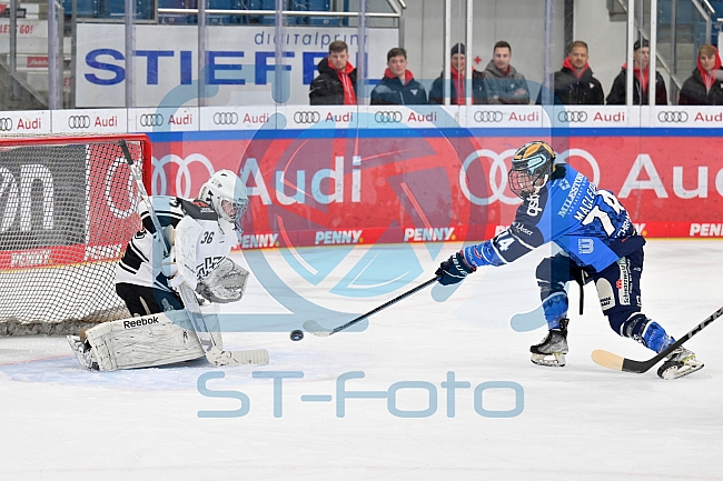 Eishockey, Frauen, DFEL, Saison 2023-2024, ERC Ingolstadt - Amsterdam Tigers, 06.01.2024
