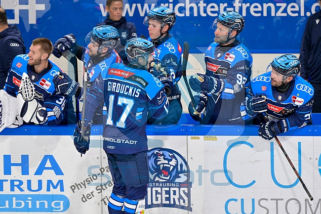 Eishockey, Herren, DEL, Saison 2025-2026, Gäubodenvolksfest-Cup 2025, Spiel 1, Nürnberg Ice Tigers - ERC Ingolstadt, 15.08.2025