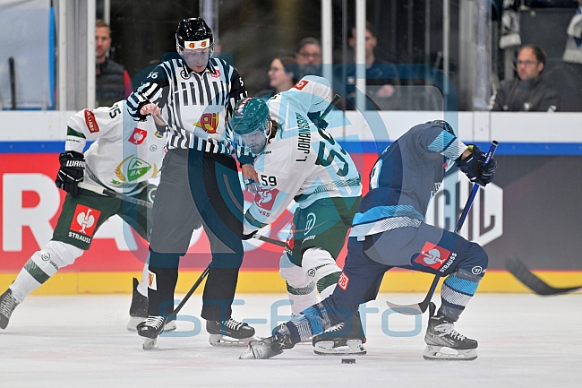 Eishockey, Mens, CHL, Season 2023-2024, ERC Ingolstadt - Färjestad Karlstad, 02.09.2023