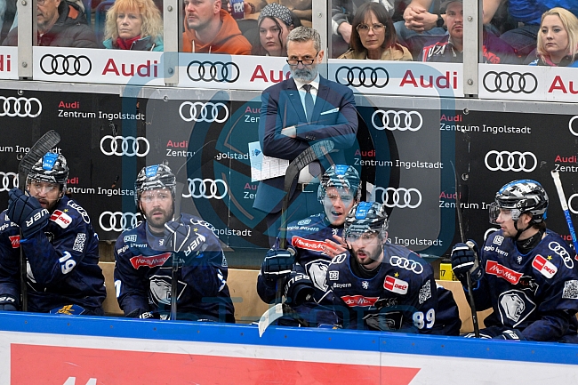 Eishockey, Herren, DEL, Saison 2024-2025, Playoffs Halbfinale, Spiel 1, ERC Ingolstadt - Kölner Haie, 02.04.2025