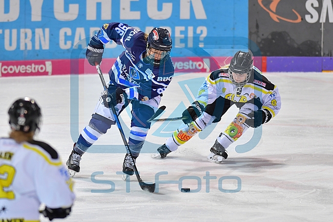 ERC Ingolstadt vs EC Bergkamener Baeren, Eishockey, DFEL, Deutsche Frauen Eishockey Liga, 08.12.2018