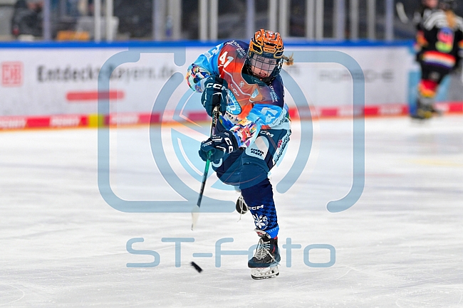 Eishockey, Frauen, DFEL, Saison 2024-2025, ERC Ingolstadt - EC Bergkamener Bären, 05.01.2025