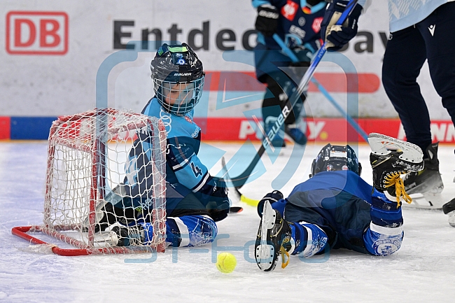 Eishockey, Herren, DEL, Saison 2023-2024, ERC Ingolstadt - Kids on Ice Day, 18.11.2023