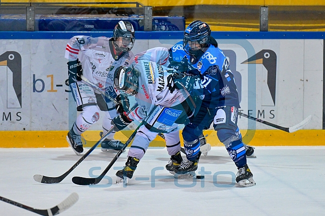 Eishockey, Frauen, DFEL, Saison 2025-2026, ERC Ingolstadt - ECDC Memmingen Indians, 25.01.2026
