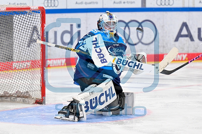 Eishockey, Frauen, DFEL, Saison 2025-2026, ERC Ingolstadt - HK Budapest, 15.11.2025