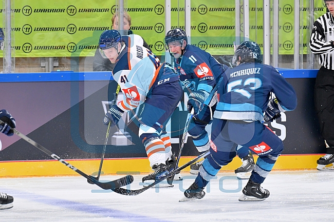 Eishockey, Mens, CHL, Season 2023-2024, ERC Ingolstadt - Växjö Lakers, 14.11.2023
