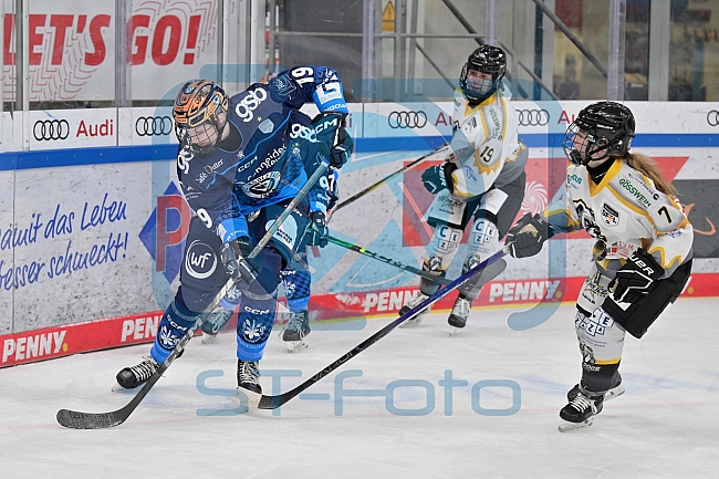 Eishockey, Frauen, DFEL, Saison 2024-2025, ERC Ingolstadt - Mad Dogs Mannheim, 23.11.2024