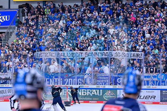 Eishockey, Herren, DEL, Saison 2024-2025, Playoffs Viertelfinale, Spiel 1, ERC Ingolstadt - Nürnberg Ice Tigers, 16.03.2025