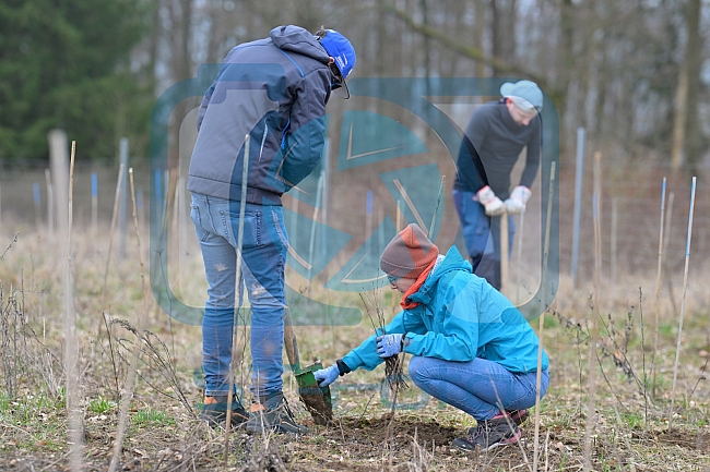 Eishockey, Herren, DEL, Saison 2023-2024, ERC Ingolstadt - Baumpflanzaktion, 02.03.2024
