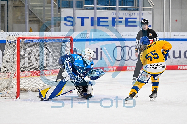 Eishockey, Frauen, DFEL, Saison 2025-2026, Testspiel, ERC Ingolstadt - HC Davos, 14.02.2026