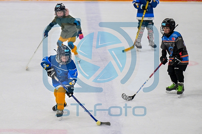Eishockey, Herren, DEL, Saison 2024-2025, ERC Ingolstadt - Kids On Ice Day, 11.01.2025