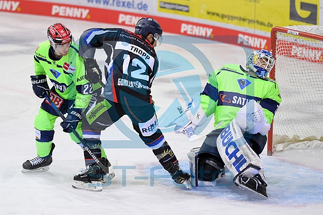 Eishockey, Herren, DEL, Saison 2020-2021, Straubing Tigers - ERC Ingolstadt, 31.01.2021