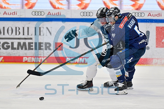Eishockey, Herren, DEL, Saison 2024-2025, Playoffs Halbfinale, Spiel 5, ERC Ingolstadt - Kölner Haie, 11.04.2025