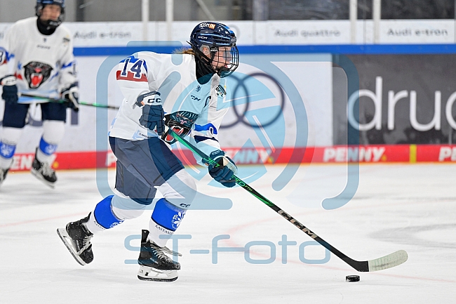 Eishockey, Frauen, DFEL, Saison 2026-2027, Testspiel, ERC Ingolstadt - ZSC Lions Zürich, 05.09.2026