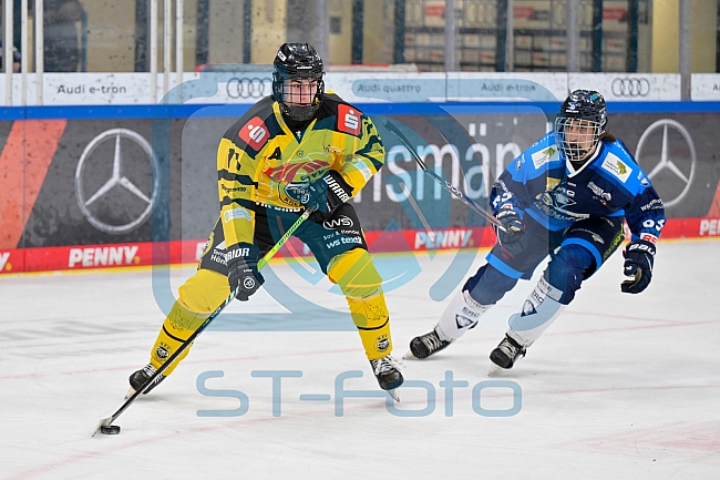 Eishockey, Herren, U20 DNL, Saison 2025-2026, ERC Ingolstadt - Krefeld Pinguine, 10.01.2026