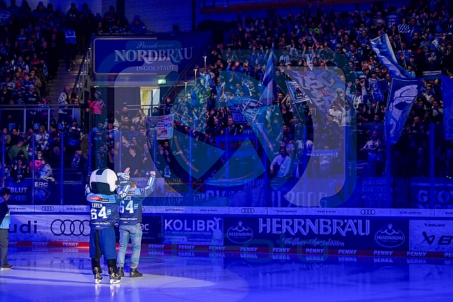 Eishockey, Herren, DEL, Saison 2025-2026, Spiel 43, ERC Ingolstadt - Schwenninger Wild Wings, 25.01.2026