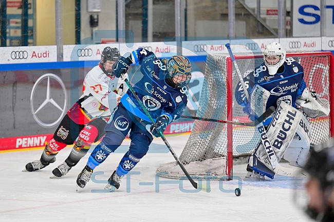 Eishockey, Frauen, DFEL, Saison 2024-2025, ERC Ingolstadt - EC Bergkamener Bären, 04.01.2025