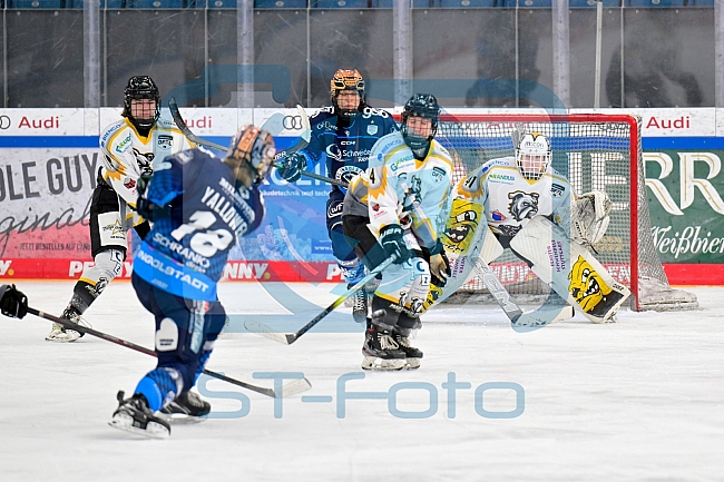 Eishockey, Frauen, DFEL, Saison 2024-2025, ERC Ingolstadt - Mad Dogs Mannheim, 23.11.2024