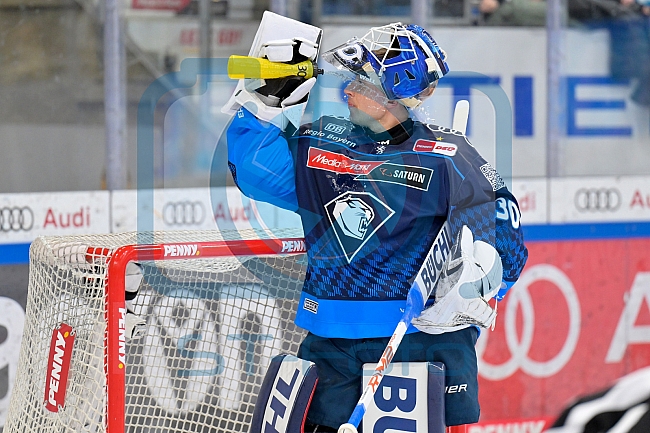 Eishockey, Herren, DEL, Saison 2024-2025, Playoffs Viertelfinale, Spiel 1, ERC Ingolstadt - Nürnberg Ice Tigers, 16.03.2025